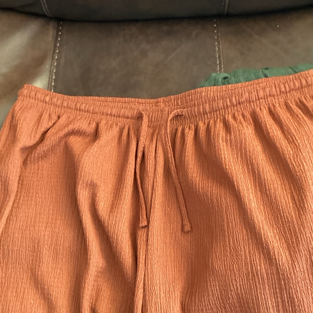 Rust Pants - Picture 3 of 3